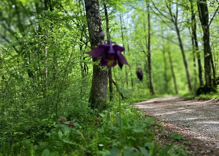 Apartma Emilio Apartamento *